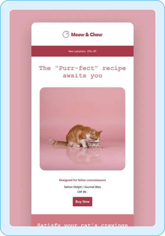Modèle de newsletter model-2