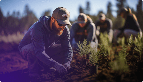 Image of several people planting saplings in a field, illustrating the involvement of volunteers in reforestation activities supported by public organisations and NGOs.