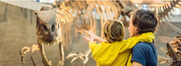 Image illustrant un évènement culturel, avec un enfant et un adulte admirant un squelette de dinosaure dans un musée.