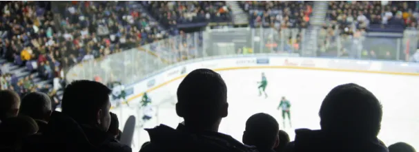 Image illustrant un évènement sportif, avec des spectateurs regardant un match de hockey dans une patinoire.