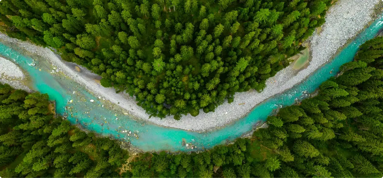 Photo of a river flowing through a green forest